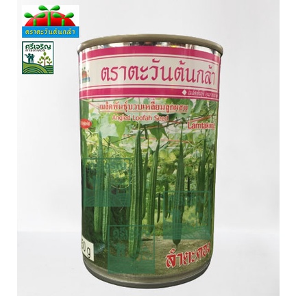 บวบเหลี่ยม ลำตะคอง 50 กรัม ตะวันต้นกล้า
