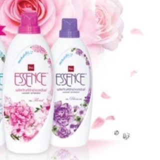 450มล.ESSENCE เอสเซ้นซ์ น้ำยาซักผ้า/น้ำยาซักแห้ง กลิ่นฟลอรัล สีชมพู &amp; กลิ่นบลอสซั่ม สีม่วง ขนาด By BSC