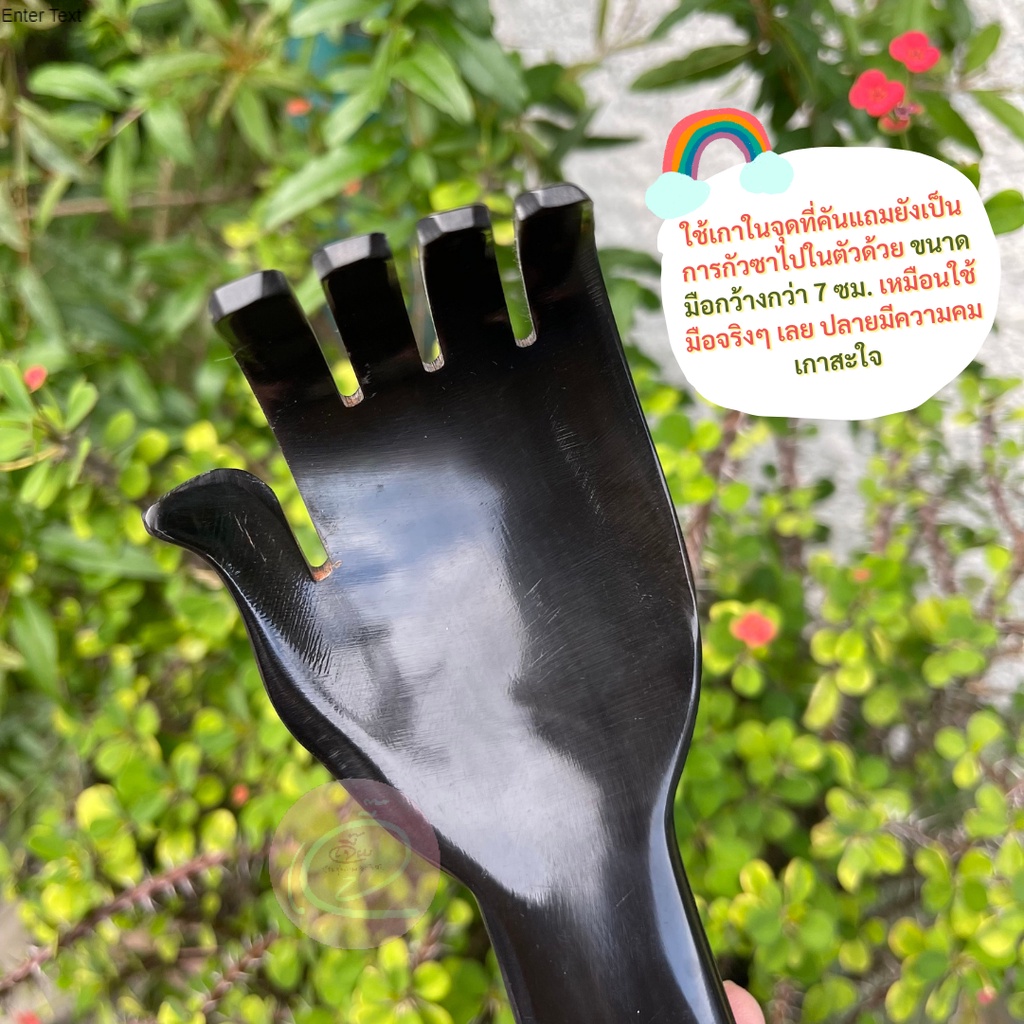 พร้อมส่ง🌿 มือเกาหลังเขาควาย🐃 ไม้เกาหลัง กัวซาเขาควาย เกาสบายเหมือนใช้มือจริง - รูปที่ 3
