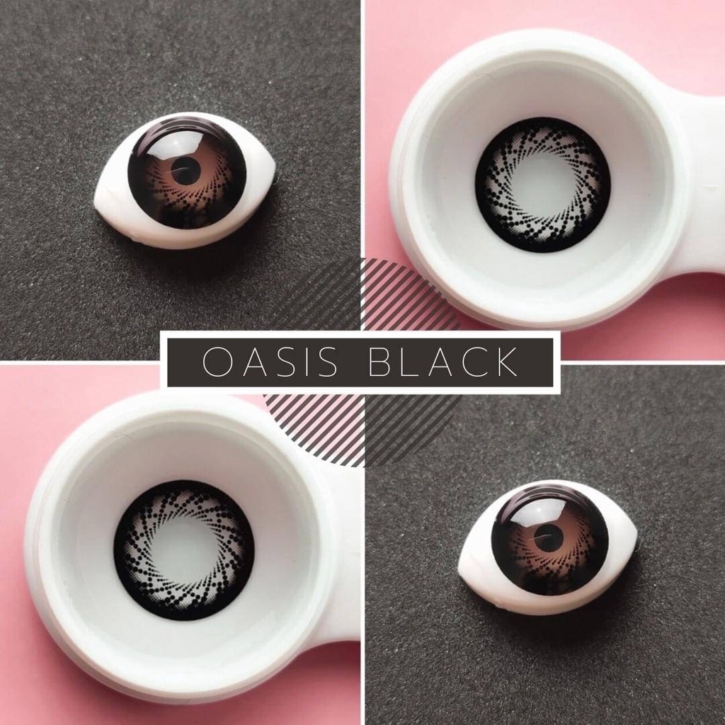 💜 Oasis Black บิ๊กอาย สีดำ ดำ สายแบ๊ว ดวงตากลมโต Dream Color1 Contact Lens Bigeyes คอนแทคเลนส์ ค่าสายตา สายตาสั้น ตาโต