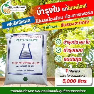 ผงจุลธาตุเหล็ก FerousSulfate Monohydrate (30%) ขนาดบรรจุ 25 กิโลกรัม