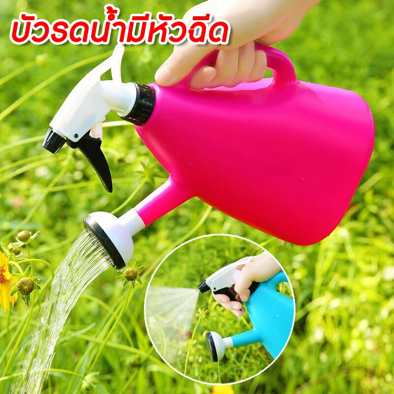 My Image 20