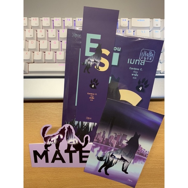 (มือสอง สภาพ99.99%) To Touch You (Mates: 4)