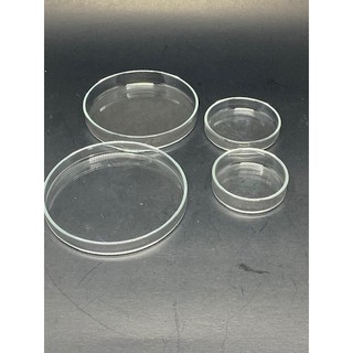 Petri dish Glass 15X60MM ,15X100MM จานเพาะเชื้อแก้ว จานเพาะเนื้อเยื่อ จานแก้ว Qualicolor ประเทศเช็ก/Petri Q Petridish