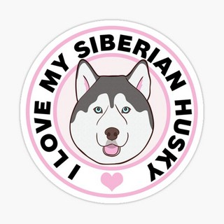 สติ๊กเกอร์ติดรถ แต่งรถ สติ๊กเกอร์ แม่เหล็กติดรถยนตร์ สติ๊กเกอร์หมา I Love My Siberian Husky - DGE31