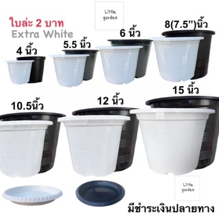 Little กระถางต้นไม้ กระถางสีขาว🤍กระถางดำ 🖤4 นิ้ว 5 นิ้ว 6 นิ…