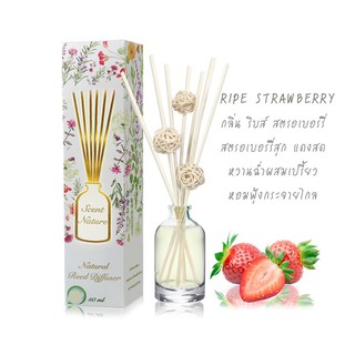 🍓🍓กลิ่นสตรอว์เบอร์รี่ 🍓🍓ก้านไม้หอม อโรม่า ปรับอากาศ เซนต์เนเจอร์50ml.