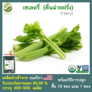 เมล็ดเซเลอรี่ (คื่นฉ่ายฝรั่ง) (Celery) 400-500 เมล็ด