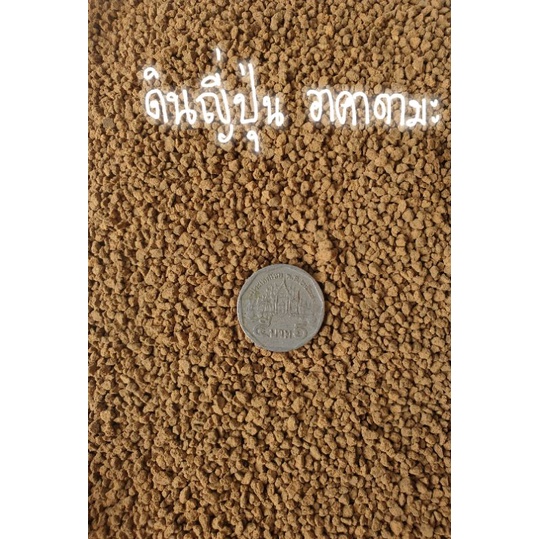 ดินญี่ปุ่น Akadama สำหรับโรยหน้ากระถางแคสตัส