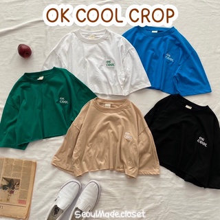 🦋พร้อมส่ง🦋 เสื้อครอปทรงoversize หน้าอกปักลายOK COOL  เนื้อผ้าคอตตอน 🌈💕