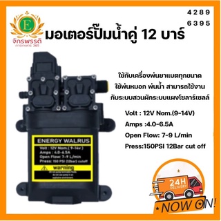 ปั้มคู่ มอเตอร์ปั้มเครื่องพ่นยา ขนาด 12 บาร์ 12 โวล ENERGY WALRUS