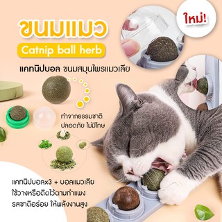 พร้อมส่ง 😺🐾 กัญชาแมว แคทนิปบอล แมว แปะกำแพง  catnip ball แมวเลีย บอลแมว ขนมแมว สมุนไพรแมว เก็บปลายทาง