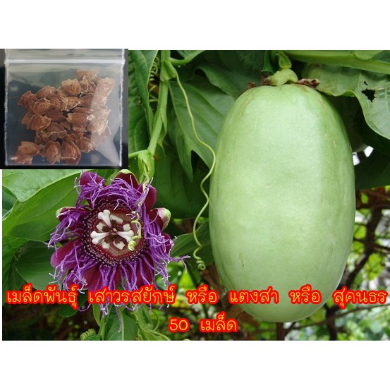 My Image 2