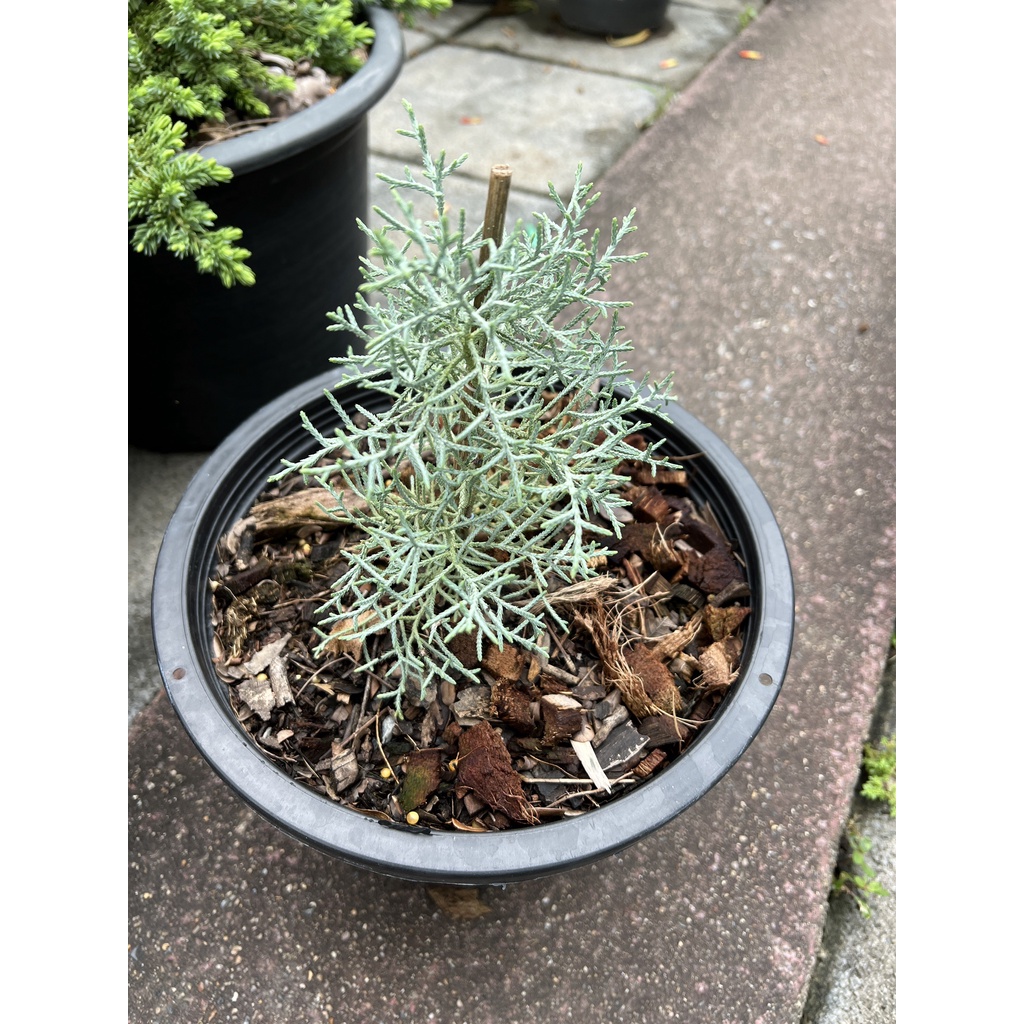 มุมมอง 2