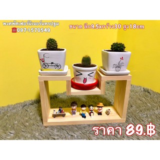 ชั้นวางแคสตัส ขนาด 9.5x30x17 cm.ทรง แท่นหลุม