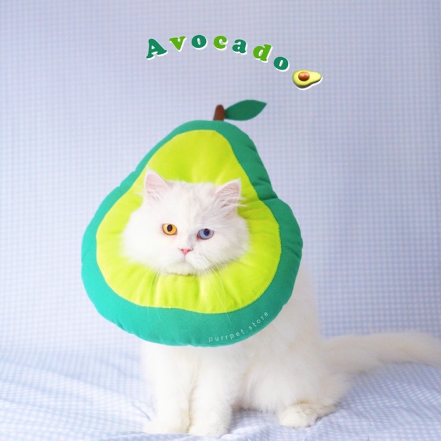 purrpet คอลล่าอะโวคาโด กันเลีย กันเกา  Happy AVOCADA