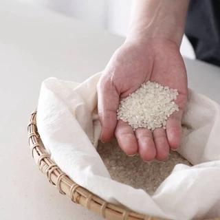 ข้าวเกาหลี ข้าวญี่ปุ่น ข้าวสารเกาหลี แบ่งขาย 500g / 1 Kg 한국 쌀 Korean Rice