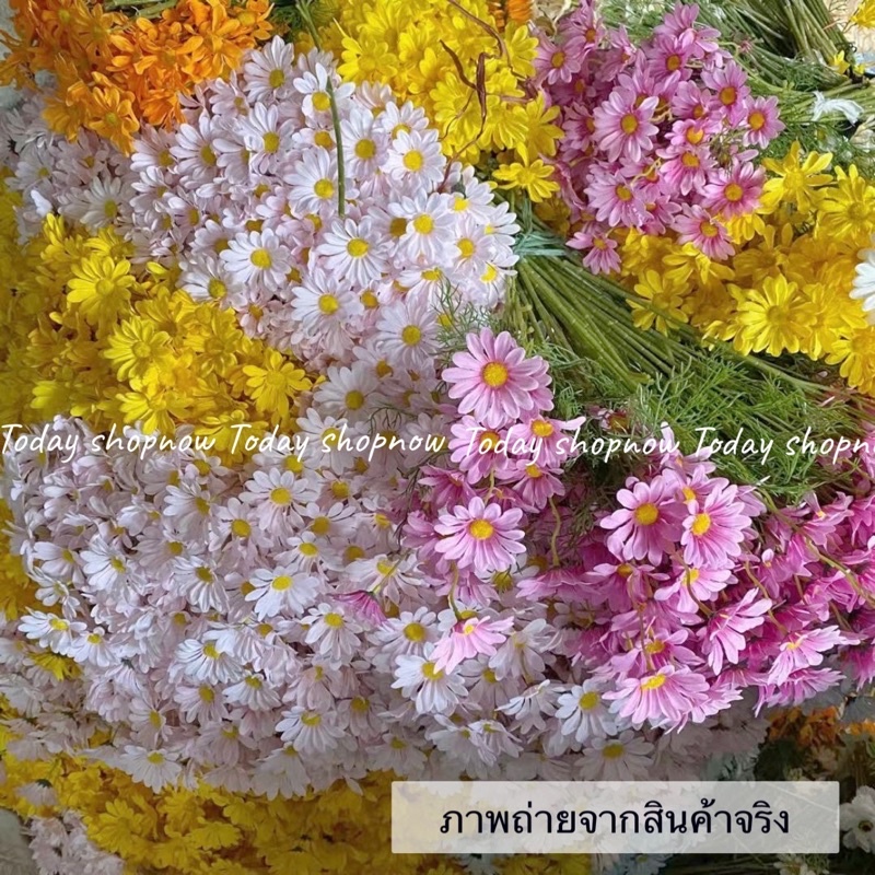 พร้อมส่งในไทย ดอกเดซี่ ดอกไม้ปลอม ดอกเดซี่ปลอม ดอกไม้ปักแจกัน ...