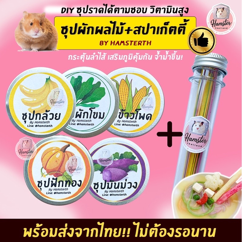 [Hamsterthailand] ชุดทำสปาเก็ตตี้ DIY ขนม สปาเกตตี แฮมสเตอร์ ซุป ซุปฟักทอง ซุปมันม่วง อาหารเสริม