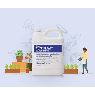 Amway Nutriplant แอมเวย์ นิวทริแพลนท์ แคลเซียม-โบรอน ติดตาดอก ติดผล ขนาด 1 ลิตร