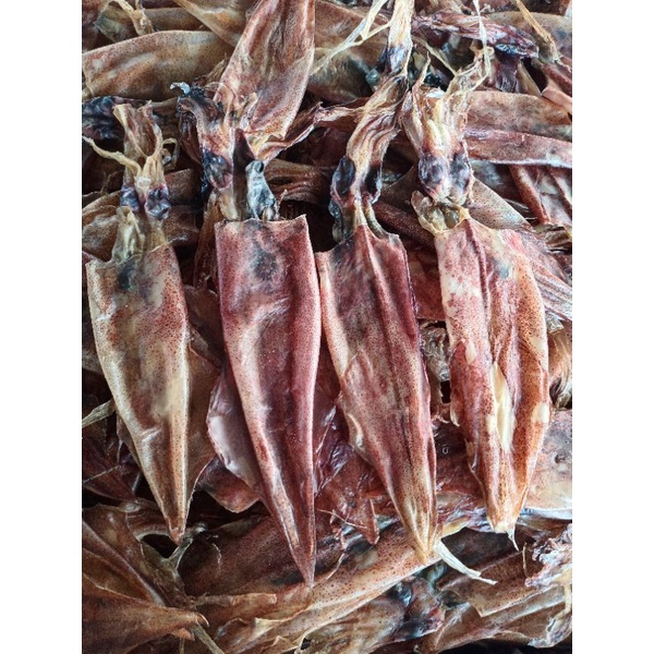 หมึกตูดแหลมตากแห้งตัวใหญ่🐙