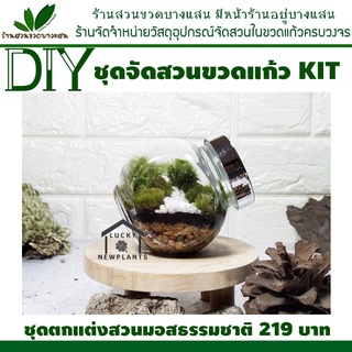 ชุดจัดสวนขวด DIY-KIT ราคา 219 บาท มีคู่มือและวีดีสอนจัดตกแต่ง