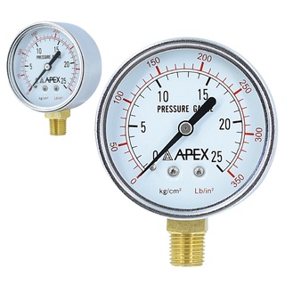 APEX เกจ์วัดแรงดัน Pressure Gauge เกจวัดแรงดัน แบบแห้ง เกลียวออกล่าง 63mm.x1/4"