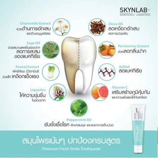 สกินแล็บ ยาสีฟัน ระงับกลิ่นปาก ป้องกันฟันผุ SKYNLAB+ Toothpaste 50/ 100/ 160g.