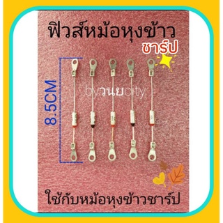 เทอร์โมฟิวส์หม้อหุงข้าว 169 ,142,170,190,230องศา 10 แอมป์ 250V.