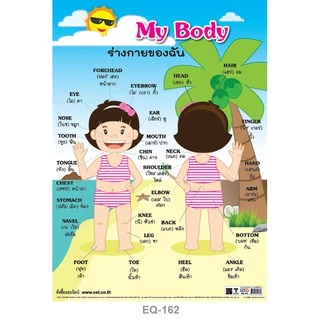 โปสเตอร์ ก ไก่-ฮ นกฮูก ก-ฮ abc a-z นับเลข 1-100 วัน เดือน สระ สูตรคูณ ร่างกาย โปสเตอร์ปฐมวัย โปสเตอร์อนุบาล