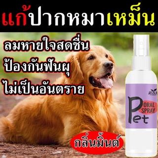 ใช้ดีมาก สเปรย์ดับกลิ่นปากสัตว์ 120 ml. แก้หมาปากเหม็น ดับกลิ่นปากสุนัข เจลลดหินปูนหมา ดับกลิ่นปากสุนัข