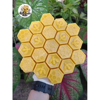 ไขผึ้งบริสุทธิ์ ใช้ล่อผึ้ง ทารังผึ้ง จากธรรมชาติ  Beewax