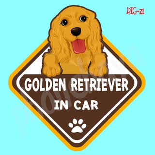 สติ๊กเกอร์ติดรถยนต์ DIC21 สติ๊กเกอร์ ติดรถ Golden Retriever Dog In Car สติ๊กเกอร์ติดรถ แต่งรถ car sticker