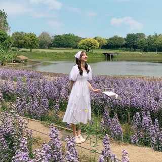 BELL DRESS X SASSYSTYLE.STORE