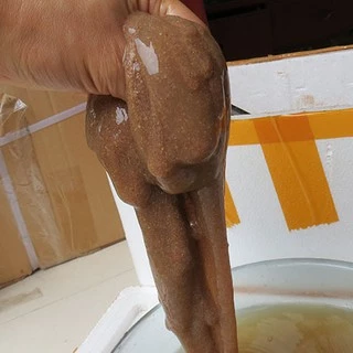 เหยื่อใย ผงใยแมงกระพรุน ใช้ผสมอาหารให้เหนียว เป็นเส้นใย สำหรับทำชิ้นเกี่ยว