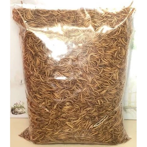 หนอนนกอบแห้ง 500g สำหรับเม่นแคระ ชูก้าไรเดอร์ เบียดดราก้อน หนูแฮมเตอร์