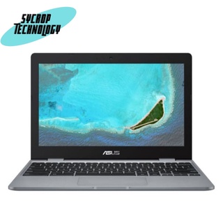 Notebook “Asus” Chromebook C223NA-GJ0100 Celeron N3350/4GB/32GB/11.6″/Chrome