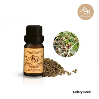 Aroma&amp;More  Celery Seed Essential Oil 100% - น้ำมันหอมระเหยเมล็ดเซเลอรี่ ขึ้นฉ่ายฝรั่ง 100%, India 5/10/30ML