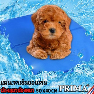 Pet cool mat ที่นอนเจลเย็นหมา แผ่นเจลรองนอนหมา แผ่นเจลเย็น M 40cm X 50cm เย็นสบาย