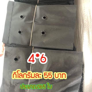 ถุงเพาะชำขนาด 4*6 ประมาณ165 ใบ ราคากิโลกรัมละ 55 บาท