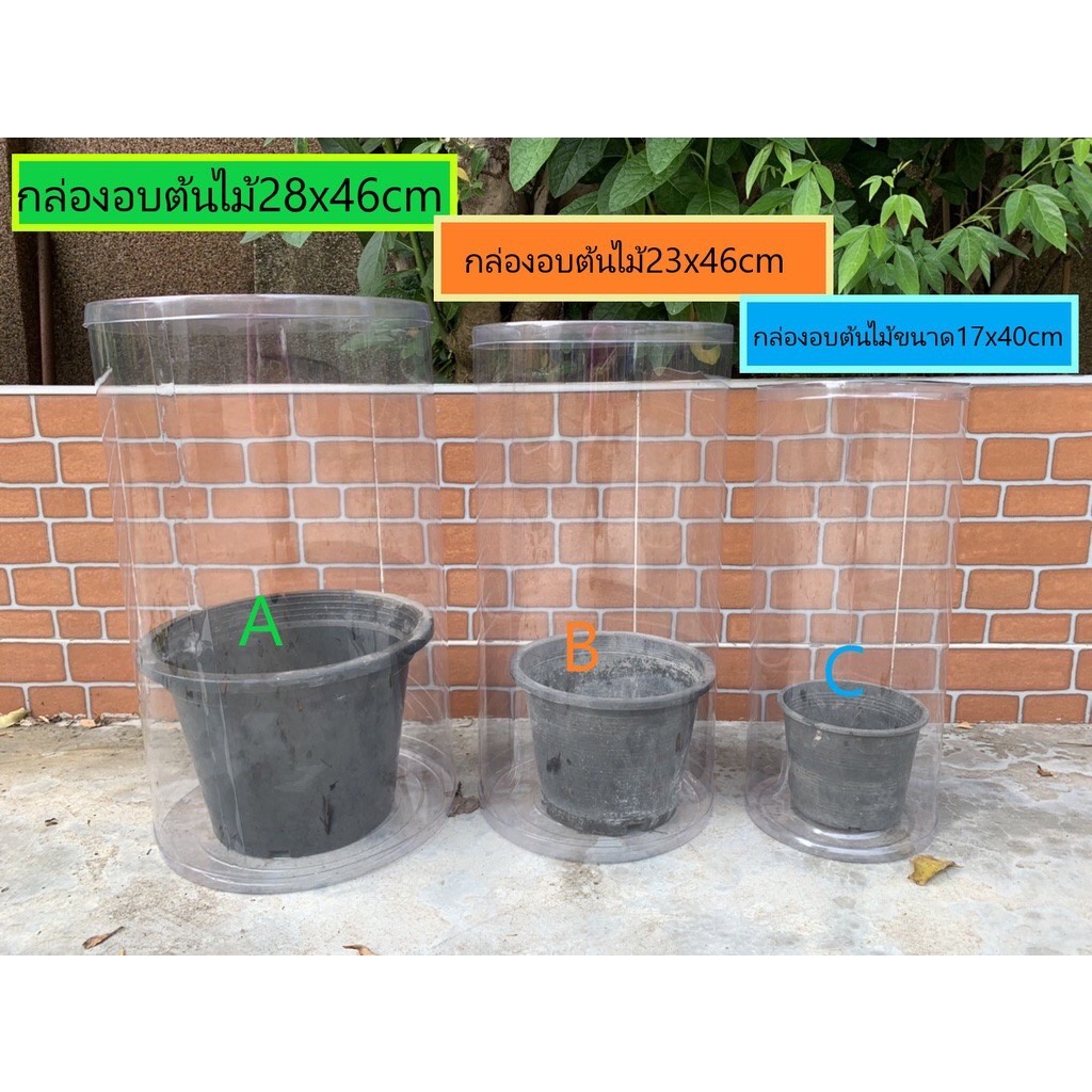 (A+B+C40+D=710บาท) กล่องอบต้นไม้หลากหลายขนาด กล่องพลาสติกใสอบต้นไม้ กระบอกพลาสติกใส