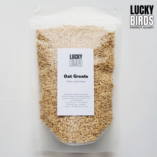 ข้าวโอ๊ต Oat groats ธัญพืชสำหรับนก นกแก้ว สัตว์เลี้ยง LUCKY BIRDS ขนาด 150กรัม และ250กรัม