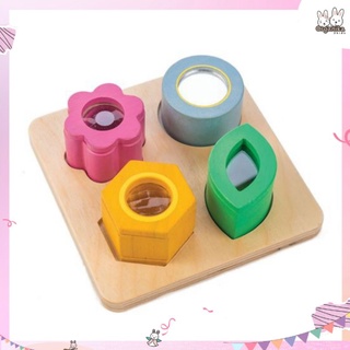 Tender Leaf Toys ชุดของเล่นเด็ก Visual Sensory Trays รุ่น TL8405