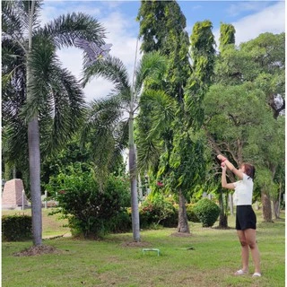 (พร้อมส่ง) ว่าวนกอินทรีย์ ขนาด 120 ซม. ว่าวไล่นก ไล่ศัตรูพืช เเถมเชือก 15 เมตร