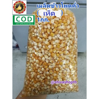 เมล็ดข้าวโพดคั่ว เมล็ดป็อปคอร์น พันธุ์เห็ด/ผีเสื้อ 1KG. Mushroom/Butterfly Popcorn