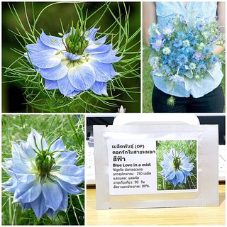 เมล็ดพันธุ์ ดอกรักในสายหมอก (Blue Love in a mist Seed) บรรจุ 150 เมล็ด คุณภาพดี ราคาถูก ของแท้ 100%