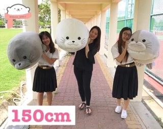📍150cm ใหญ่มาก!!!📍ตุ๊กตาแมวน้ำอุ๋งๆ 150cm (45นิ้ว) วิธีวัดดูในวีดีโอจ้า