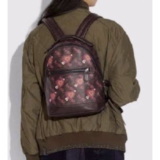 COACH Barrow Backpack With Horse And Carriage Print And Hearts Oxblood(COACH F79024)