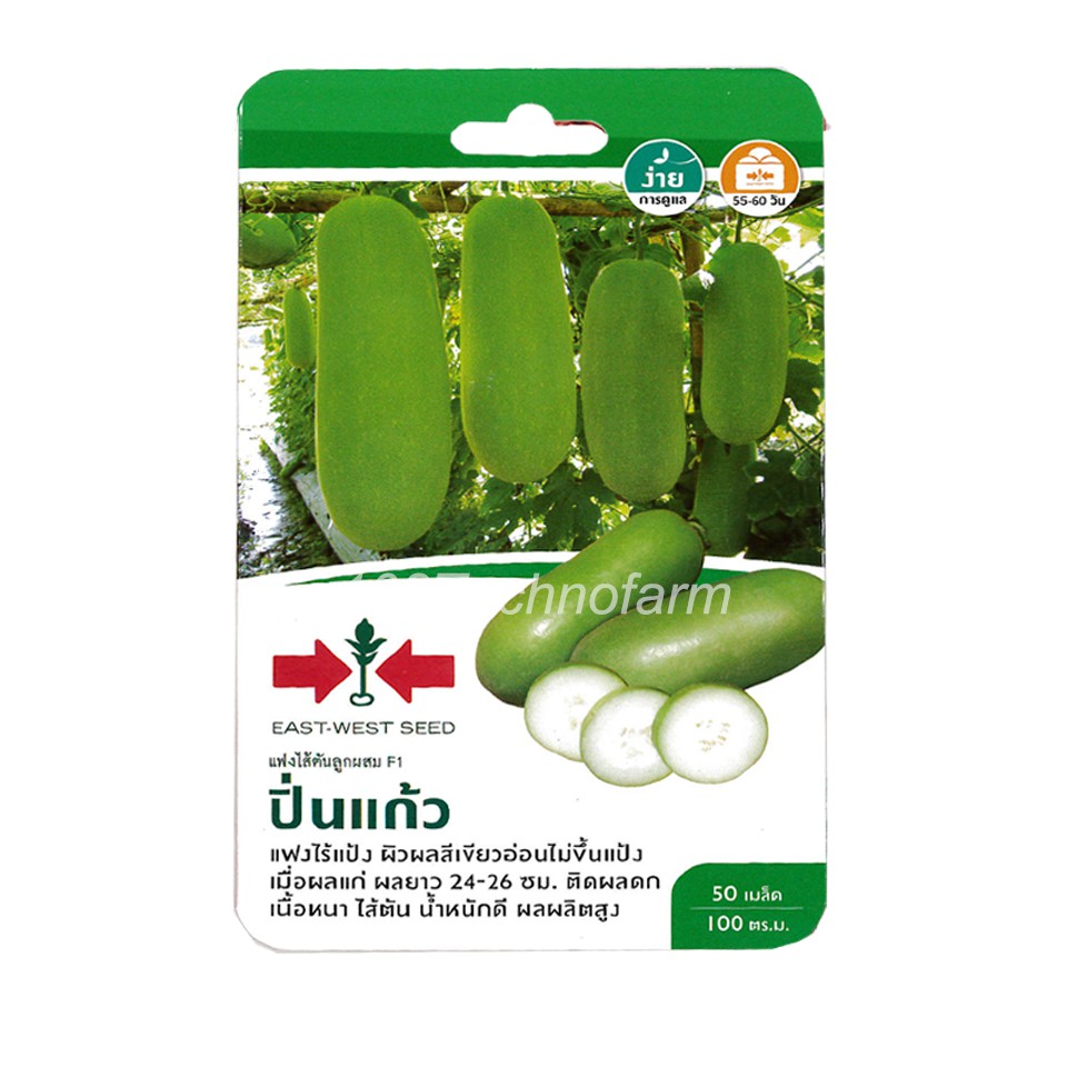 ผักซอง เมล็ดพันธุ์ แฟงไส้ตัน ปิ่นแก้ว ตราศรแดง รูปที่ 2