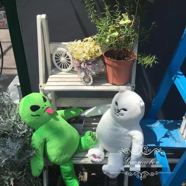 ตุ๊กตาแมว ตุ๊กตาเอเลี่ยน✨RIPNDIP ✨ (AC018) แมวชูนิ้ว Rip n Dip - รูปที่ 2